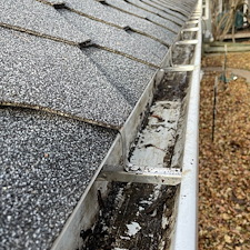 Roof-Debris-Removal-and-Gutter-Clean-Out-in-Pullman 2